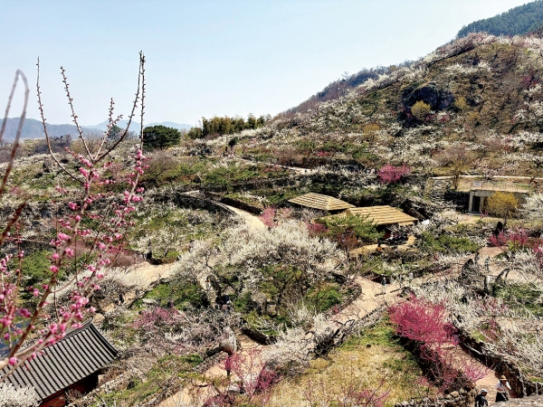 667c37508c001960a7a565395234eb9c_1774941519_4617.jpg 667c37508c001960a7a565395234eb9c_1774941519_4617.jpg